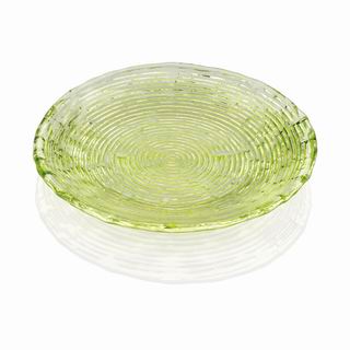 Multicolor Plate Green