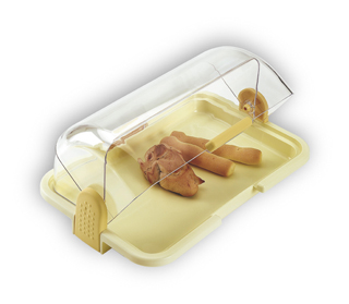 Cheese and bread box