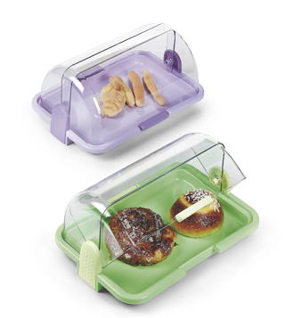 Cheese and bread box