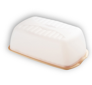 Cheese and bread box