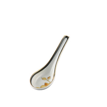 Porcelain spoon