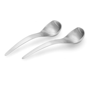 set of 2 dip spoon 