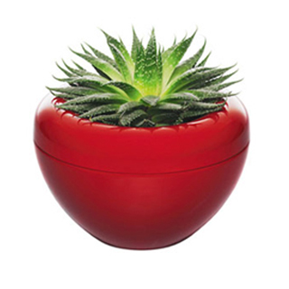Storm/flowerpot-red.L